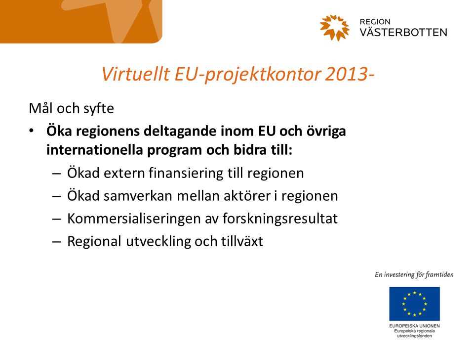 Virtuellt EU-projektkontor 2013-