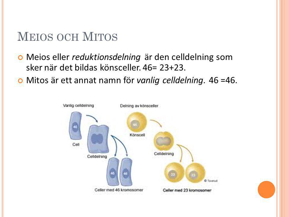 Meios och Mitos Meios eller reduktionsdelning är den celldelning som sker när det bildas könsceller. 46=