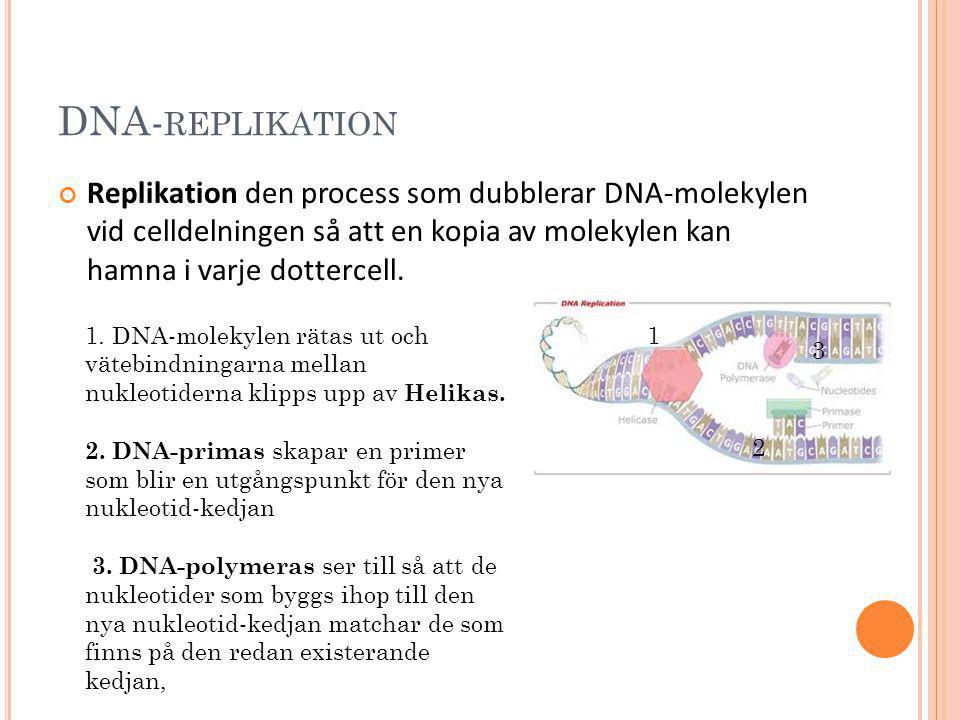 DNA-replikation Replikation den process som dubblerar DNA-molekylen vid celldelningen så att en kopia av molekylen kan hamna i varje dottercell.