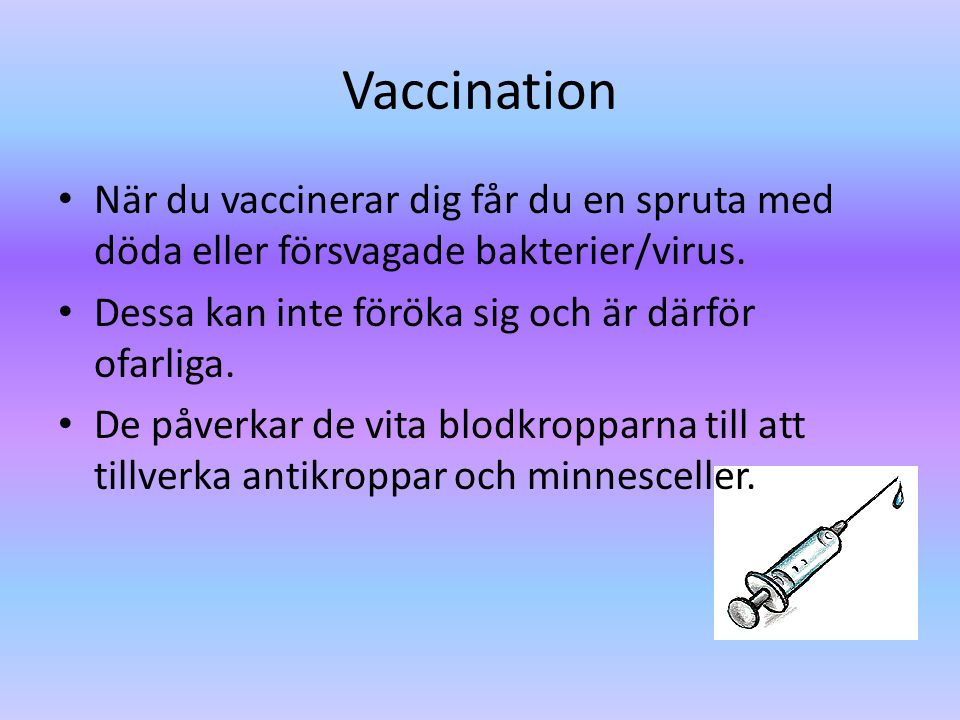 Vaccination När du vaccinerar dig får du en spruta med döda eller försvagade bakterier/virus. Dessa kan inte föröka sig och är därför ofarliga.