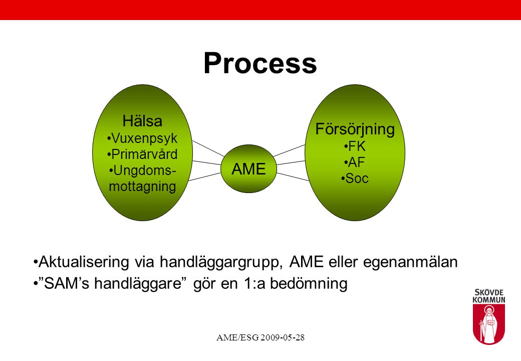 Process Hälsa Försörjning AME