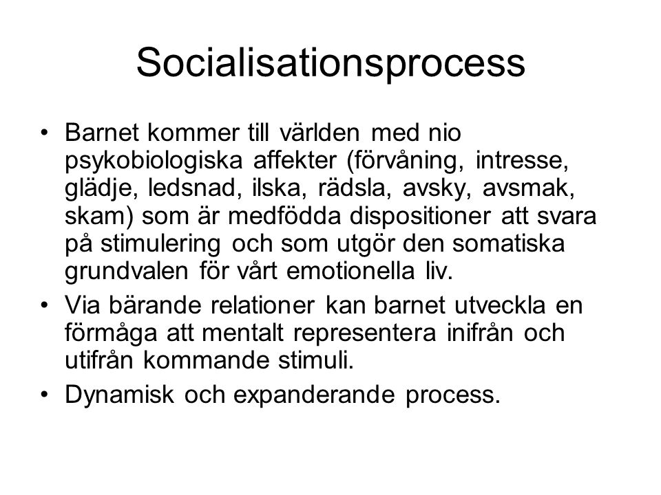 Socialisationsprocess