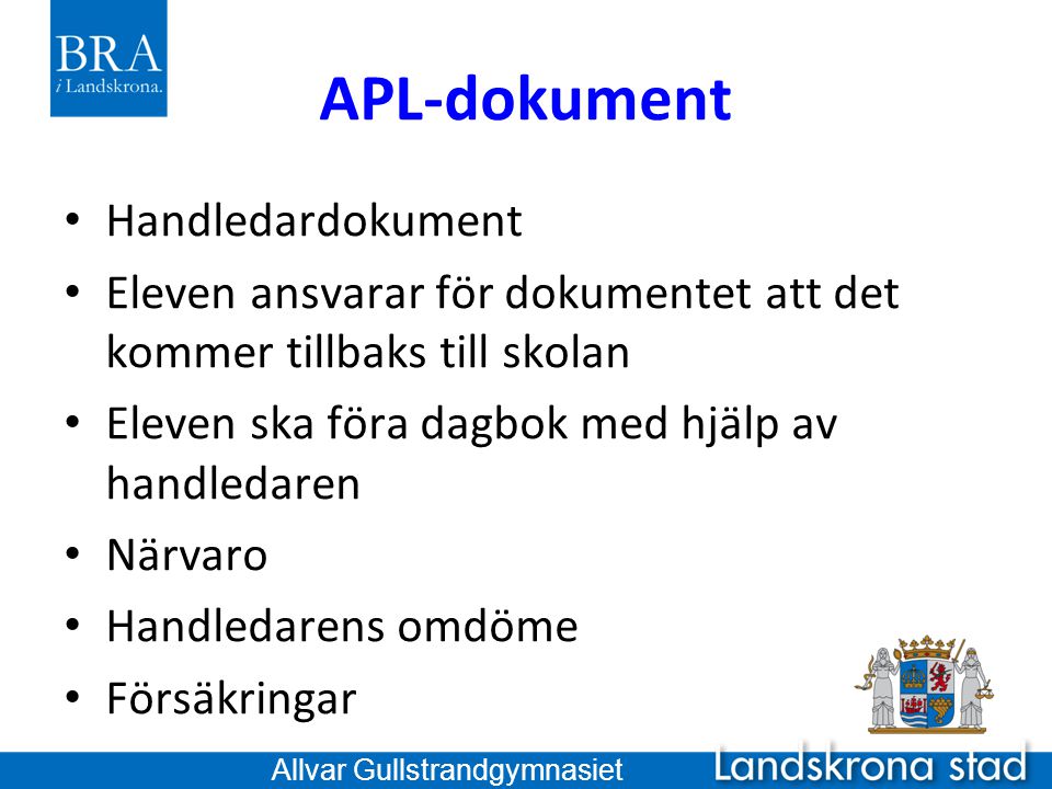 APL-dokument Handledardokument