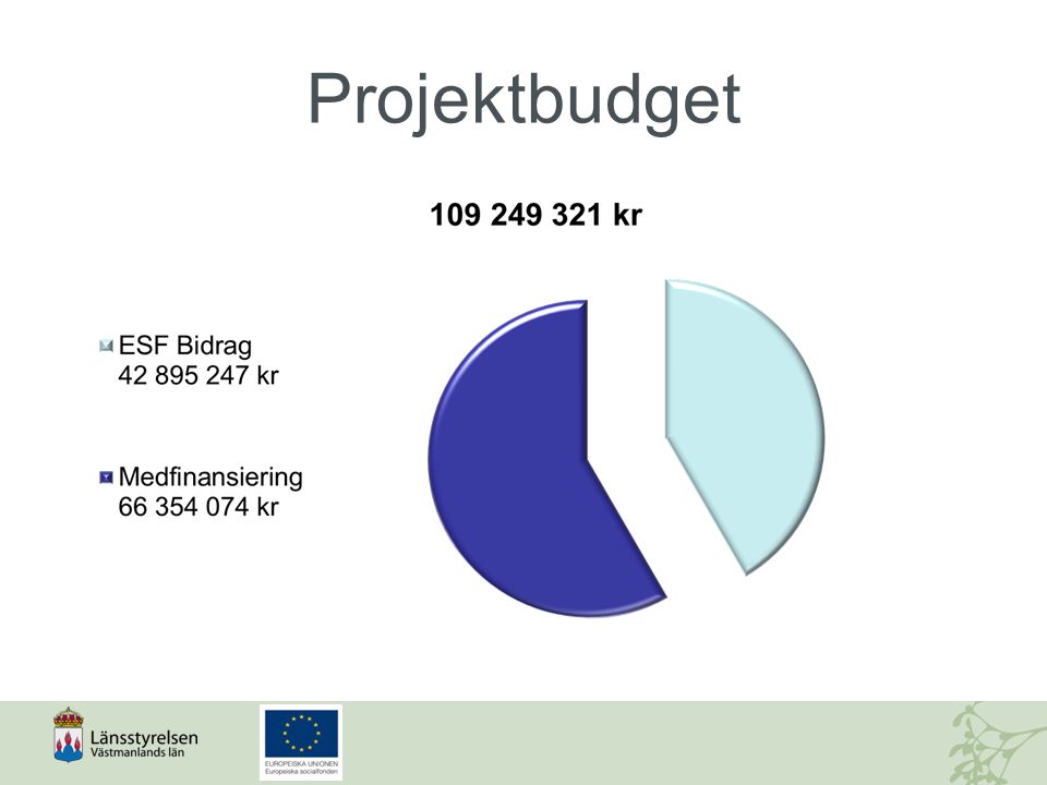 Projektbudget