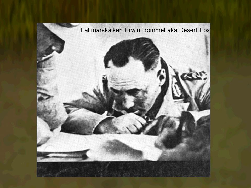 Fältmarskalken Erwin Rommel aka Desert Fox
