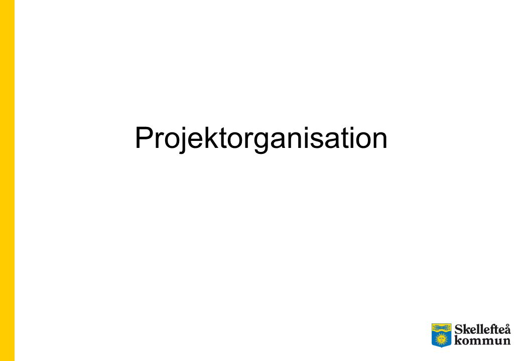 Projektorganisation