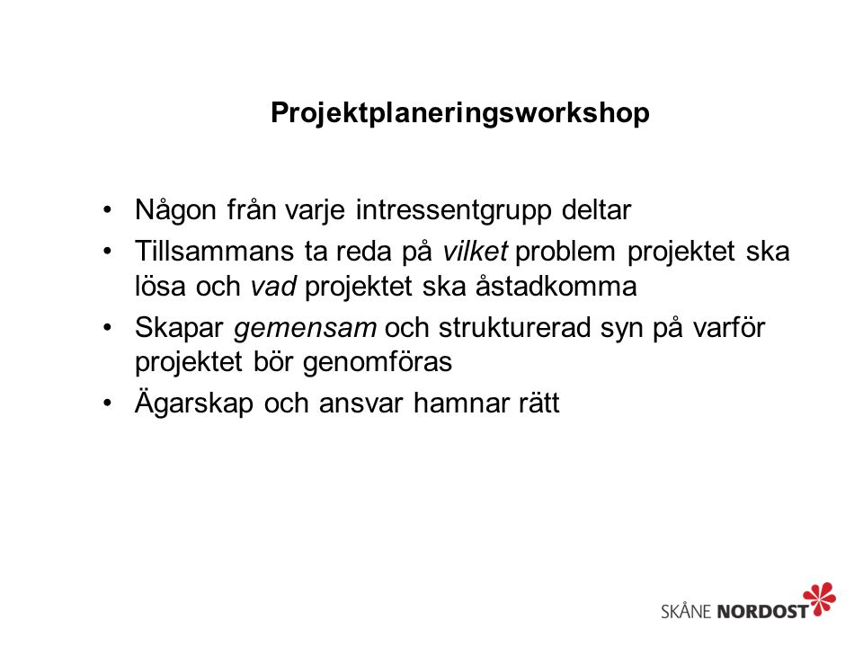 Projektplaneringsworkshop