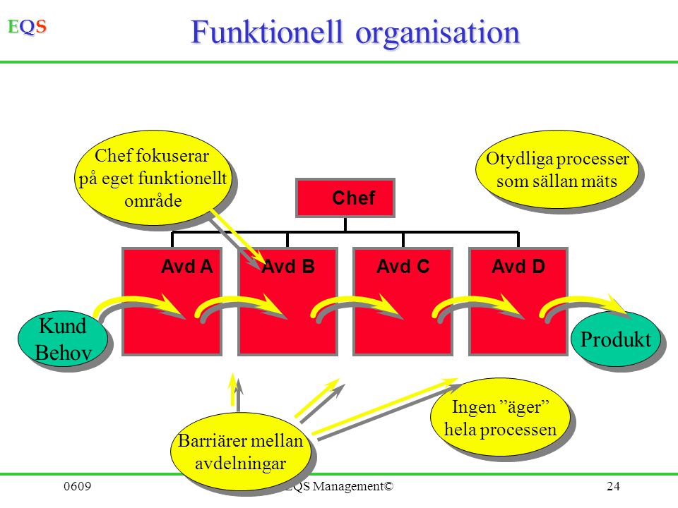 Funktionell organisation