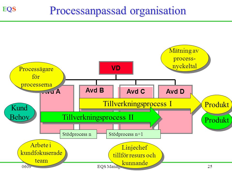 Processanpassad organisation