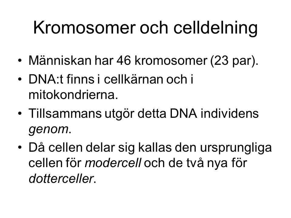 Kromosomer och celldelning