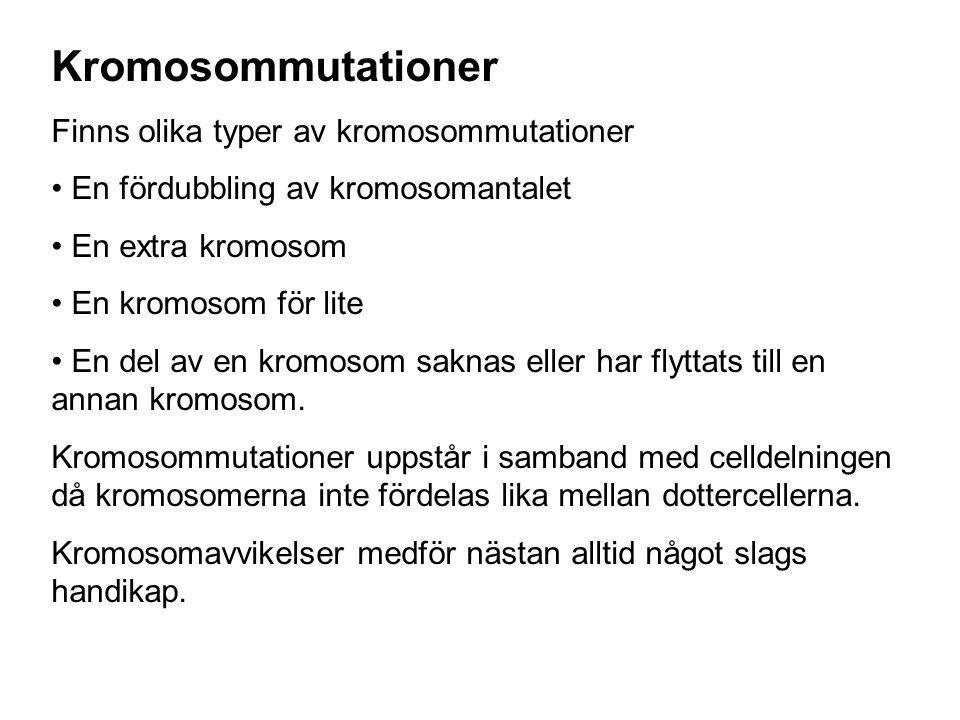 Kromosommutationer Finns olika typer av kromosommutationer
