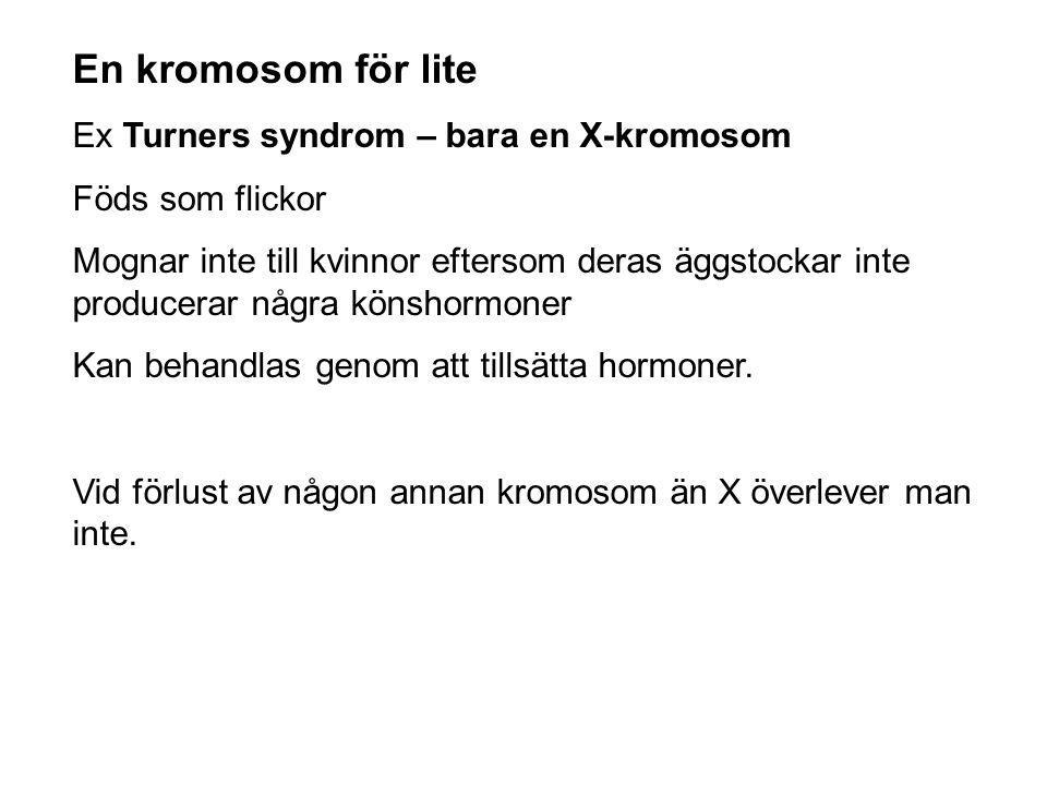 En kromosom för lite Ex Turners syndrom – bara en X-kromosom