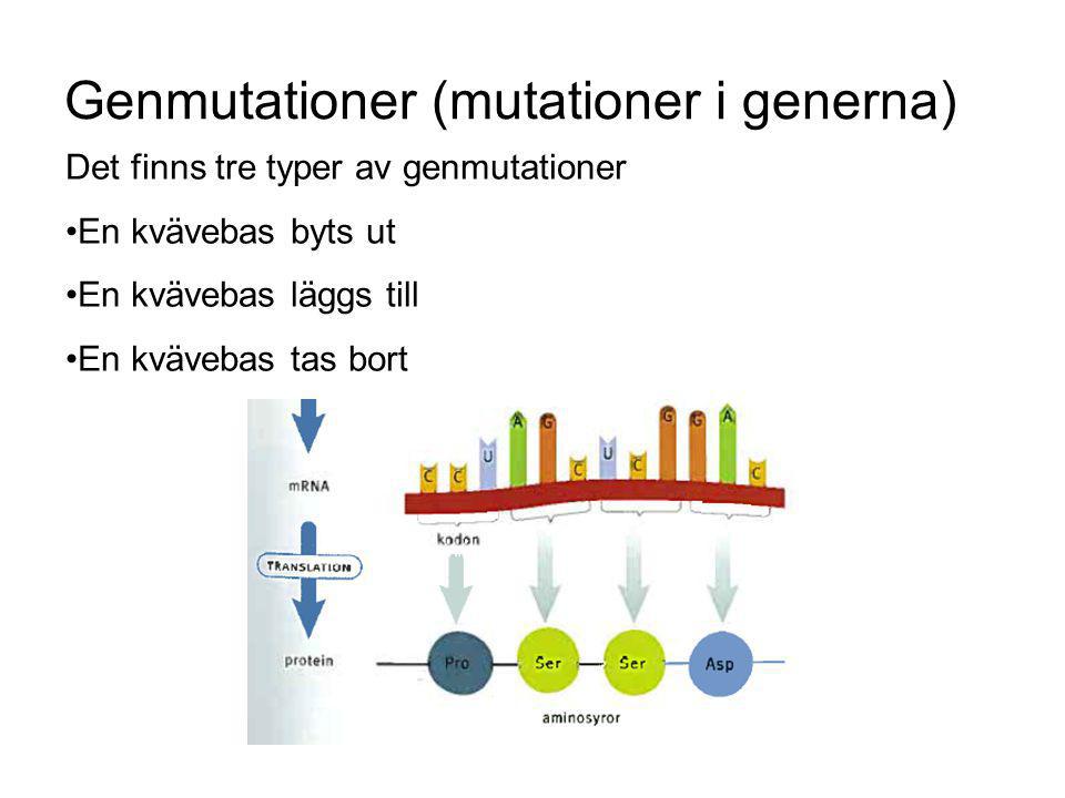 Genmutationer (mutationer i generna)