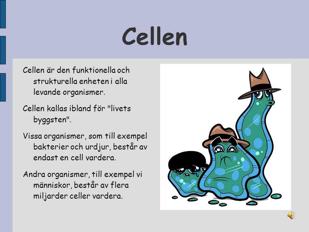 Cellen Cellen är den funktionella och strukturella enheten i alla levande organismer. Cellen kallas ibland för livets byggsten .