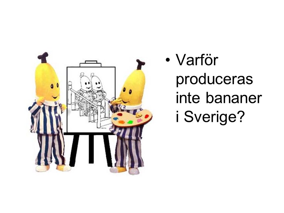 Varför produceras inte bananer i Sverige