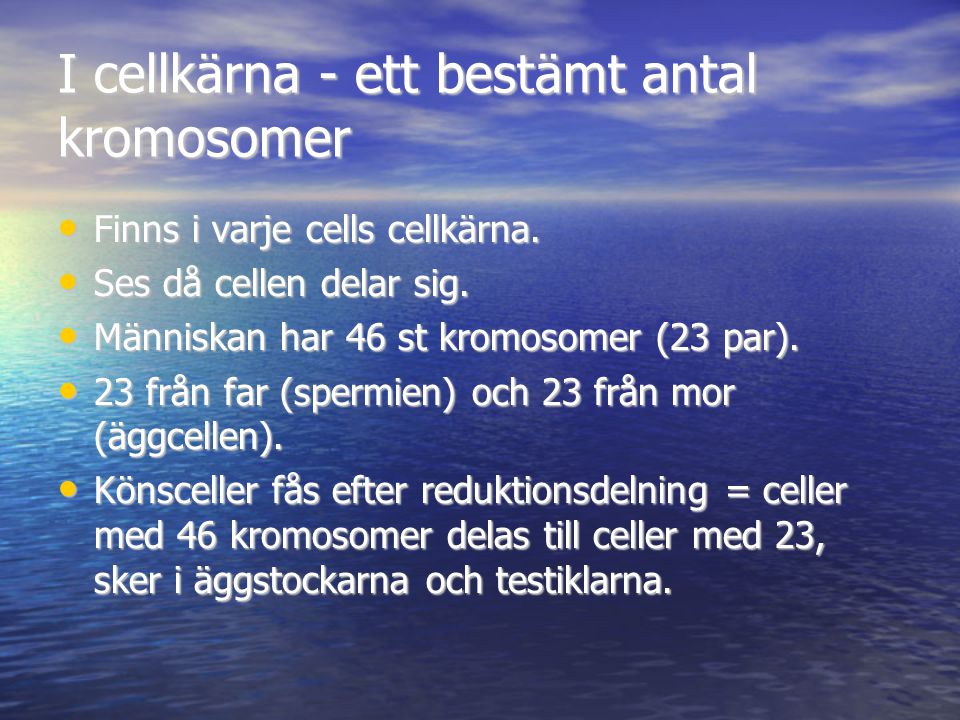I cellkärna - ett bestämt antal kromosomer