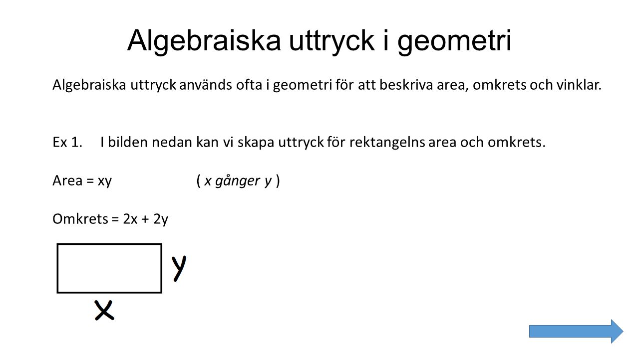 Algebraiska uttryck i geometri