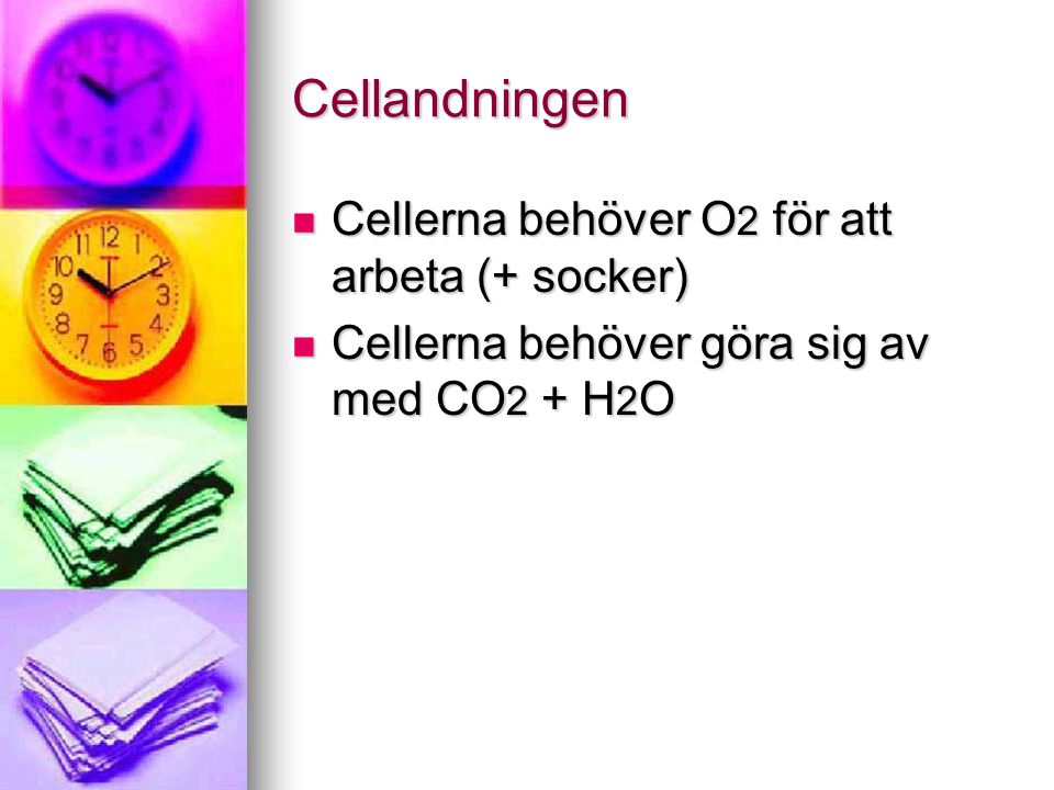 Cellandningen Cellerna behöver O2 för att arbeta (+ socker)