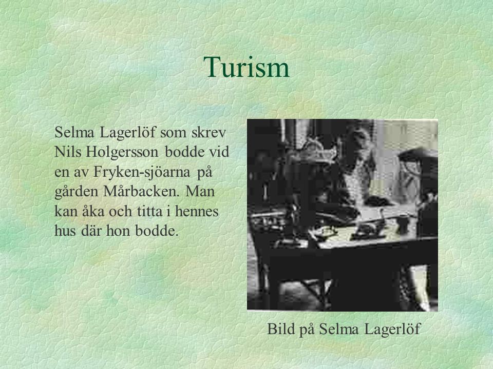 Turism Selma Lagerlöf som skrev Nils Holgersson bodde vid en av Fryken-sjöarna på gården Mårbacken. Man kan åka och titta i hennes hus där hon bodde.