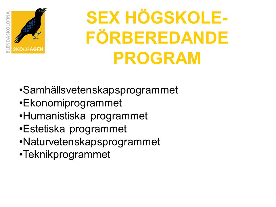SEX HÖGSKOLE-FÖRBEREDANDE PROGRAM