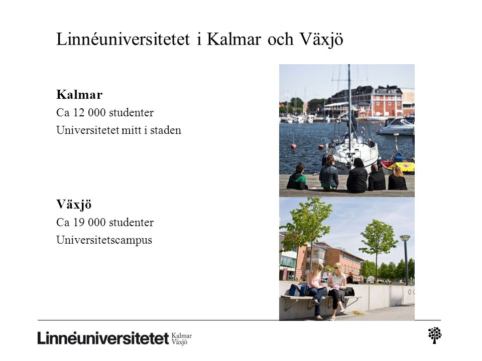 Linnéuniversitetet i Kalmar och Växjö