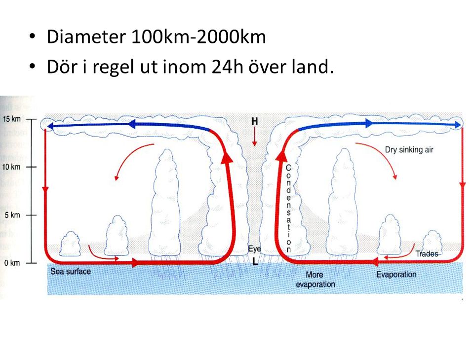 Diameter 100km-2000km Dör i regel ut inom 24h över land.