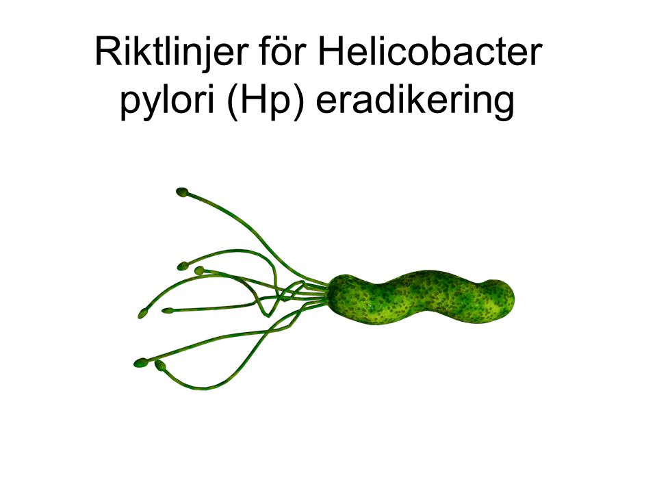 Riktlinjer för Helicobacter pylori (Hp) eradikering