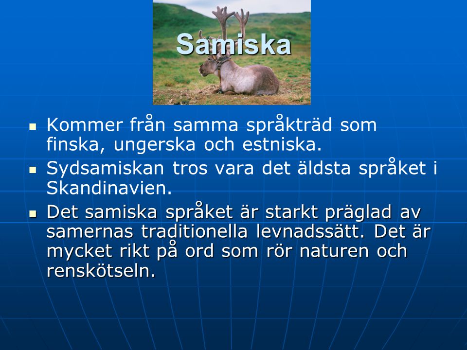 Samiska Kommer från samma språkträd som finska, ungerska och estniska.