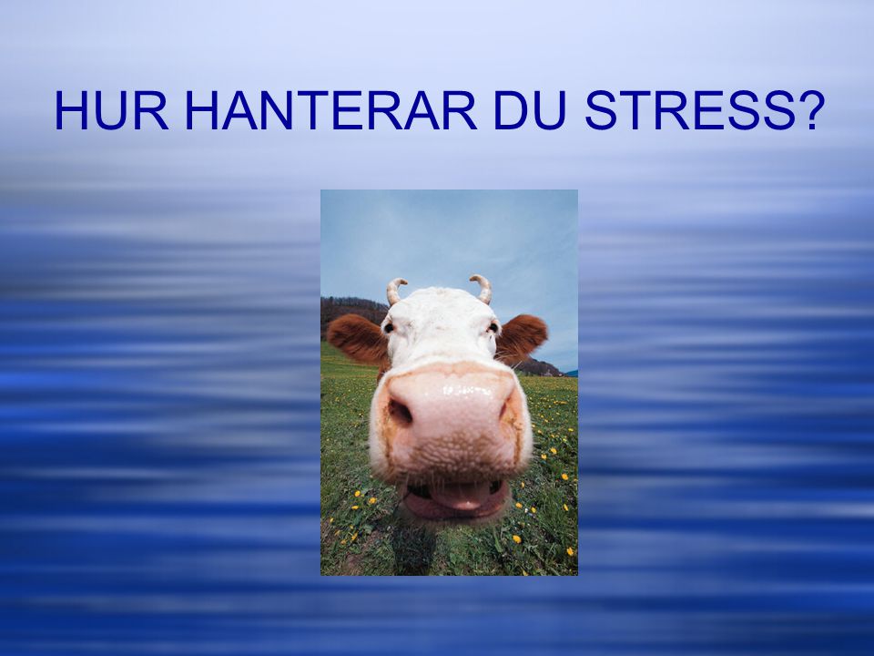 HUR HANTERAR DU STRESS