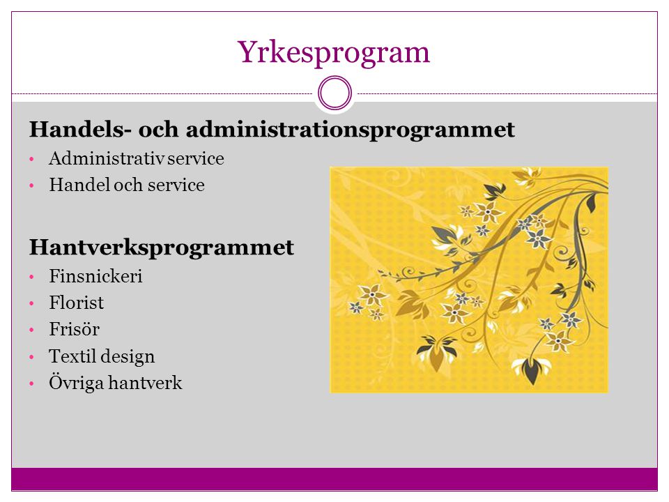 Yrkesprogram Handels- och administrationsprogrammet