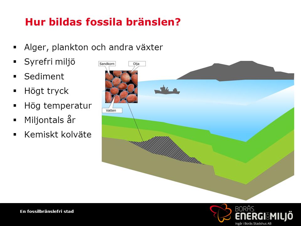 Hur bildas fossila bränslen