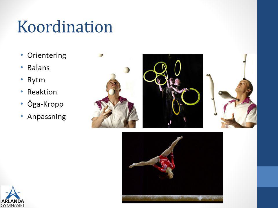 Koordination Orientering Balans Rytm Reaktion Öga-Kropp Anpassning