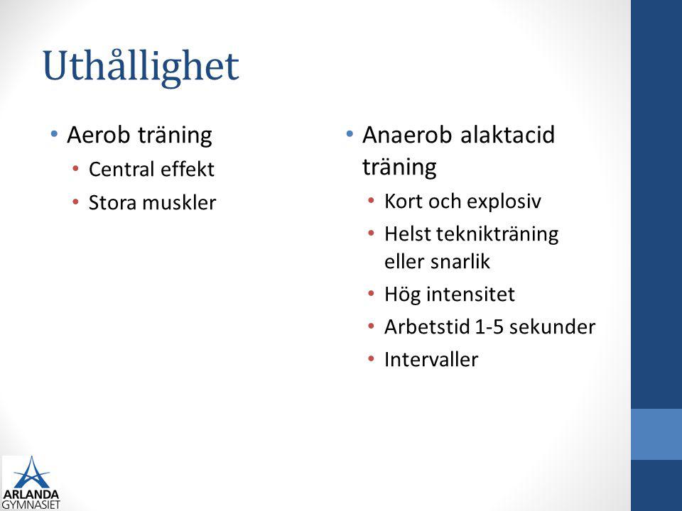 Uthållighet Aerob träning Anaerob alaktacid träning Central effekt