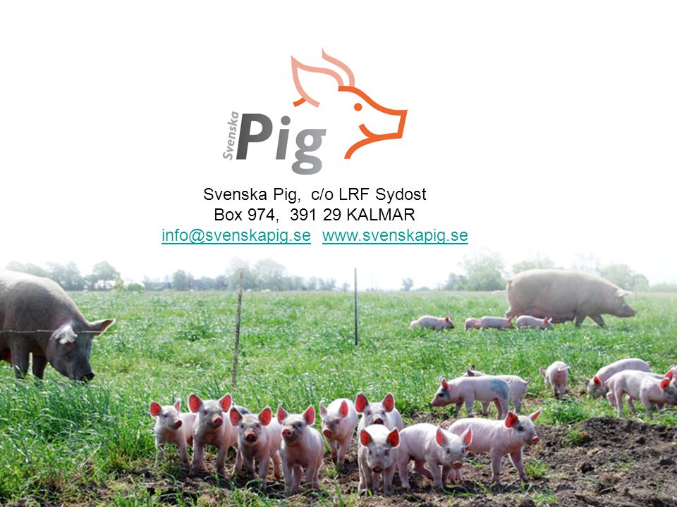 Svenska Pig, c/o LRF Sydost Box 974, KALMAR