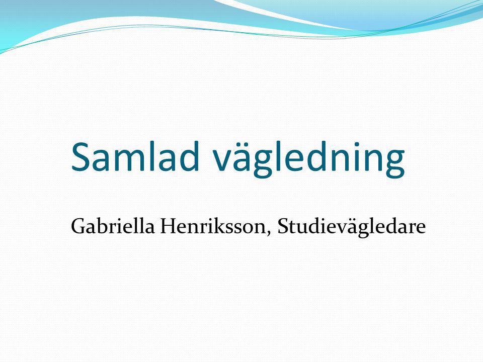 Gabriella Henriksson, Studievägledare