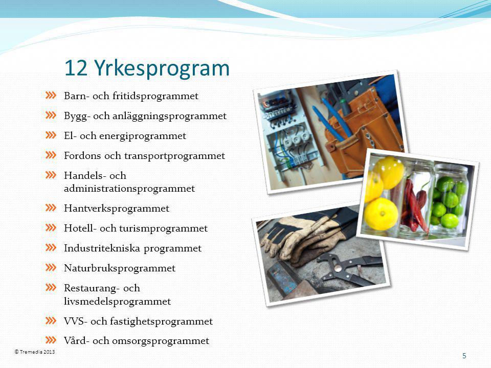 12 Yrkesprogram Barn- och fritidsprogrammet
