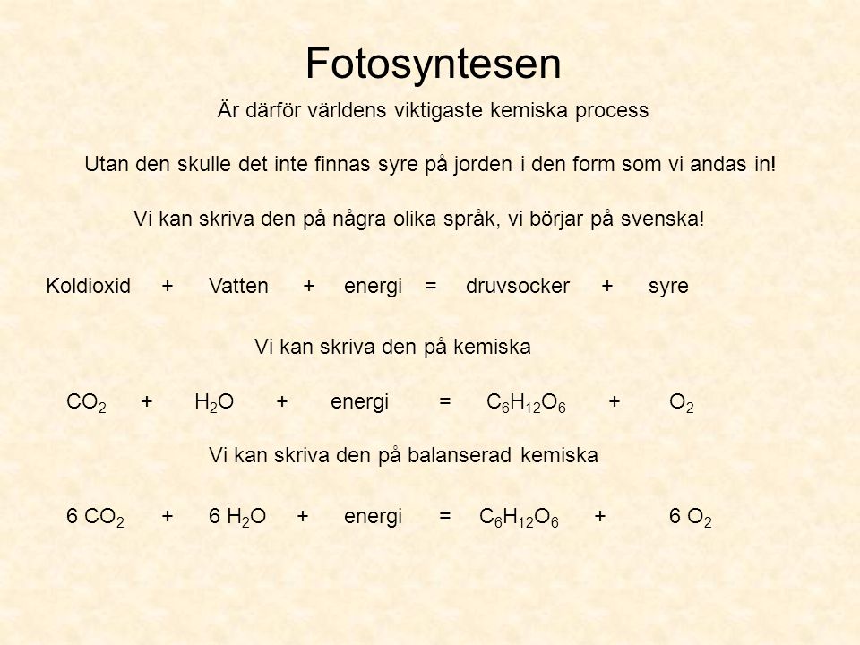 Fotosyntesen Är därför världens viktigaste kemiska process