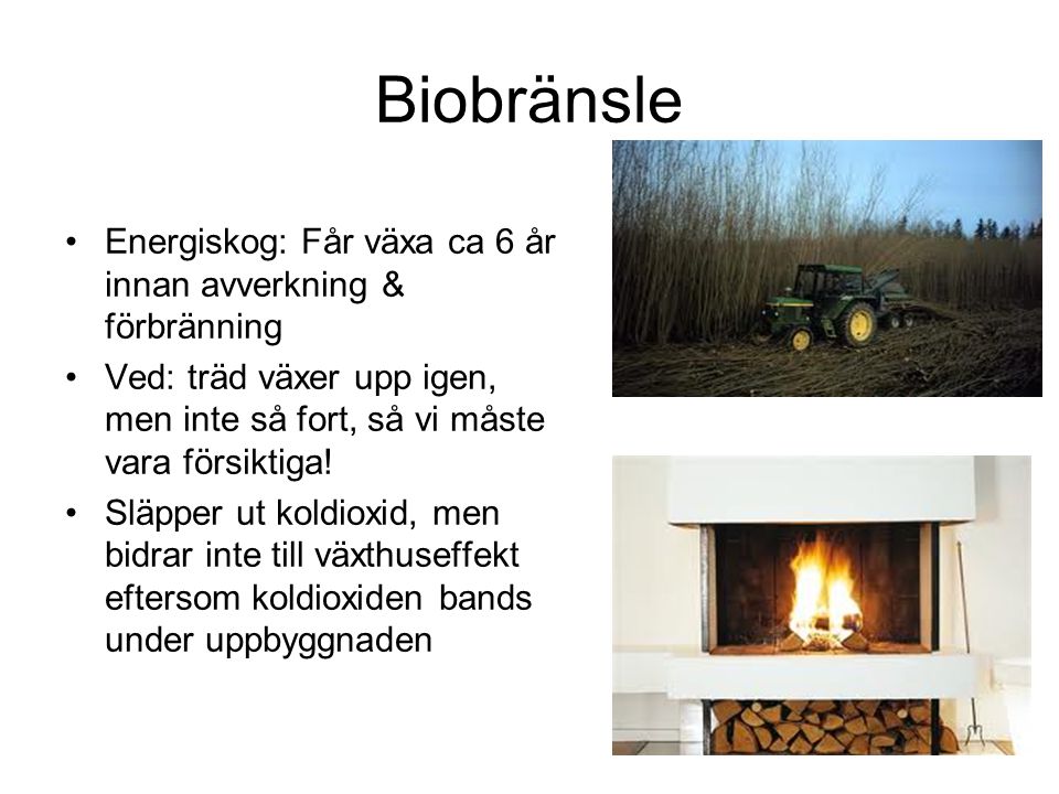 Biobränsle Energiskog: Får växa ca 6 år innan avverkning & förbränning