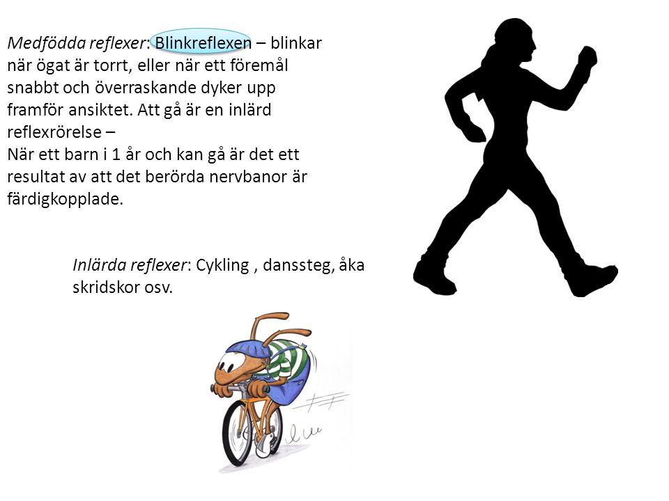 Inlärda reflexer: Cykling , danssteg, åka skridskor osv.
