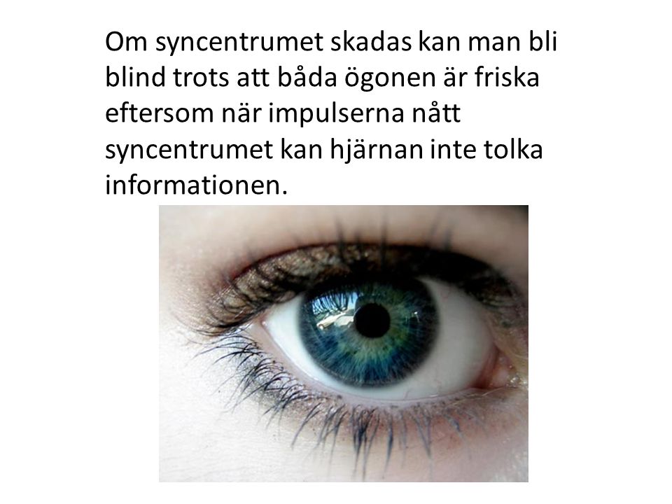 Om syncentrumet skadas kan man bli blind trots att båda ögonen är friska eftersom när impulserna nått syncentrumet kan hjärnan inte tolka informationen.
