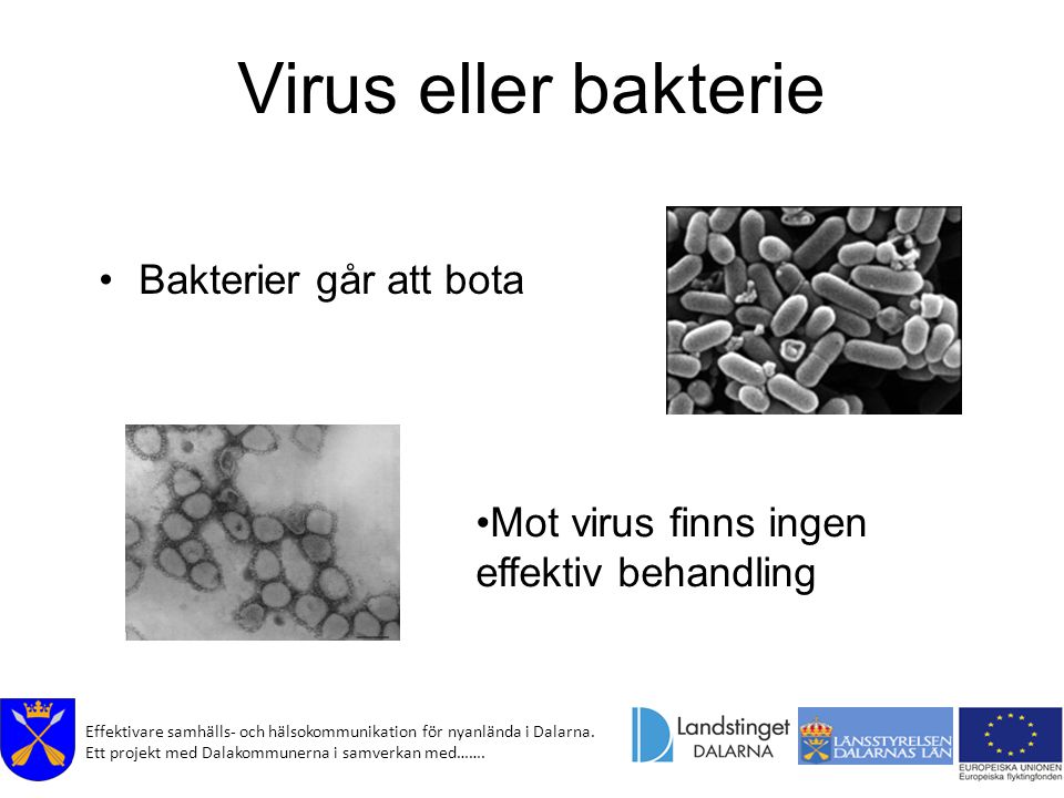 Virus eller bakterie Bakterier går att bota