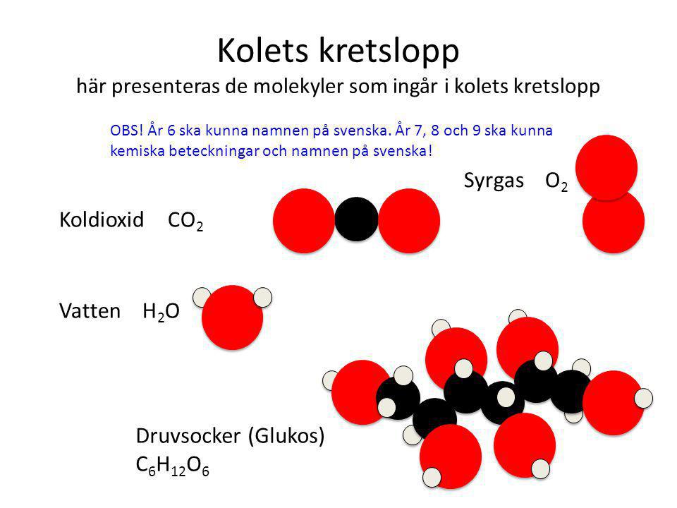 Kolets kretslopp här presenteras de molekyler som ingår i kolets kretslopp