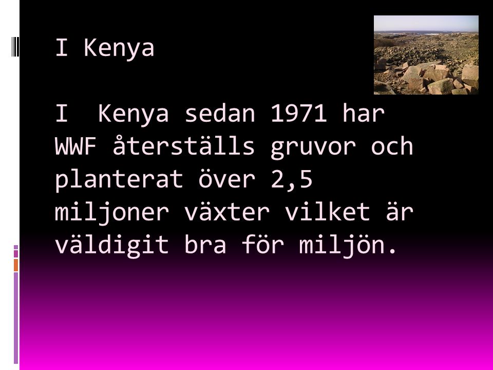 I Kenya I Kenya sedan 1971 har WWF återställs gruvor och planterat över 2,5 miljoner växter vilket är väldigit bra för miljön.