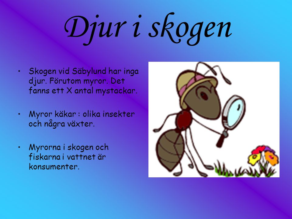 Djur i skogen Skogen vid Säbylund har inga djur. Förutom myror. Det fanns ett X antal mystackar. Myror käkar : olika insekter och några växter.