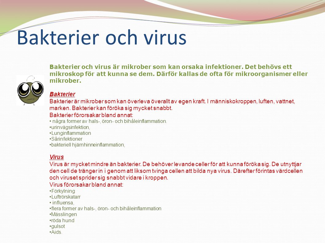Bakterier och virus