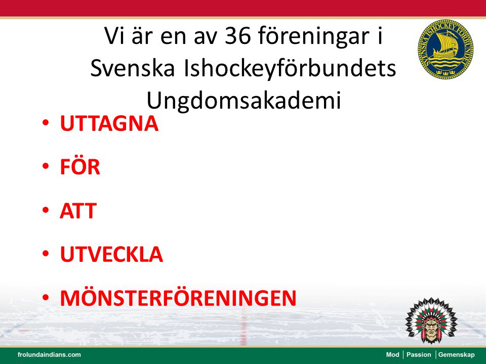 Vi är en av 36 föreningar i Svenska Ishockeyförbundets Ungdomsakademi
