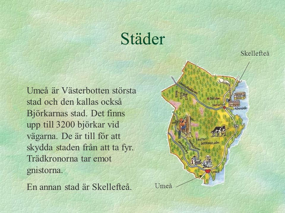 Städer Skellefteå.