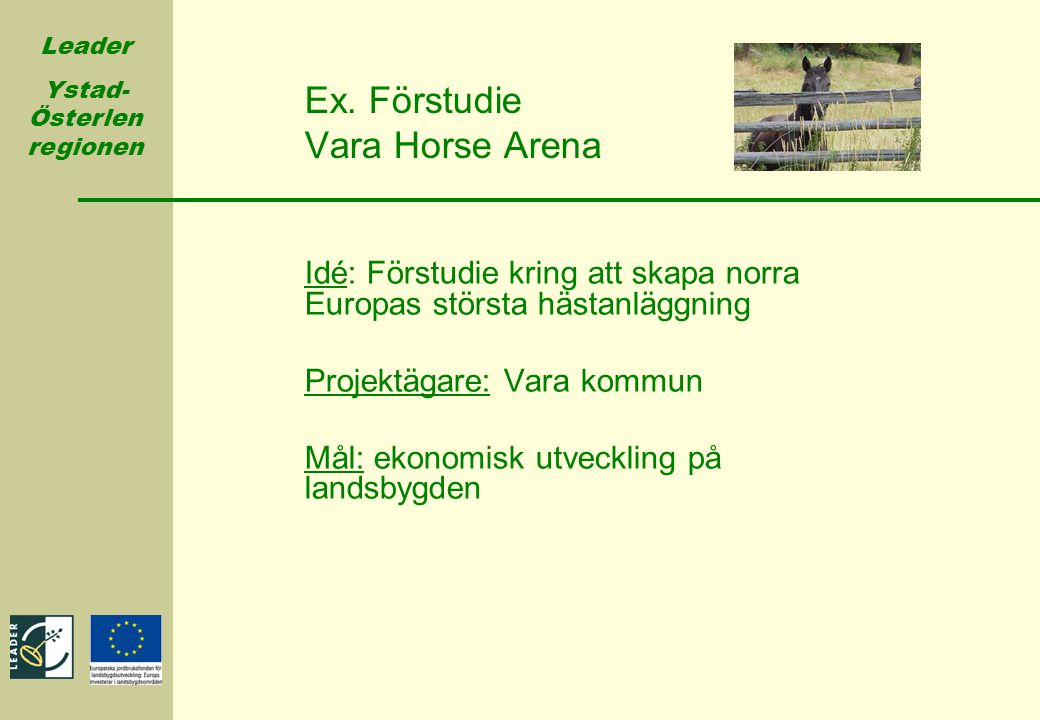 Ex. Förstudie Vara Horse Arena
