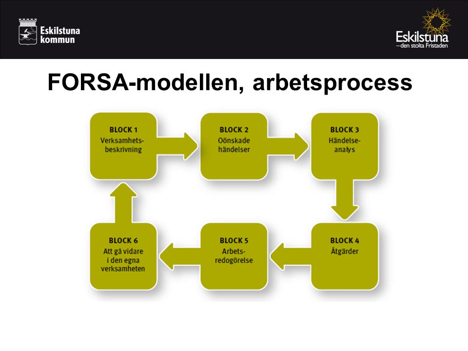 FORSA-modellen, arbetsprocess