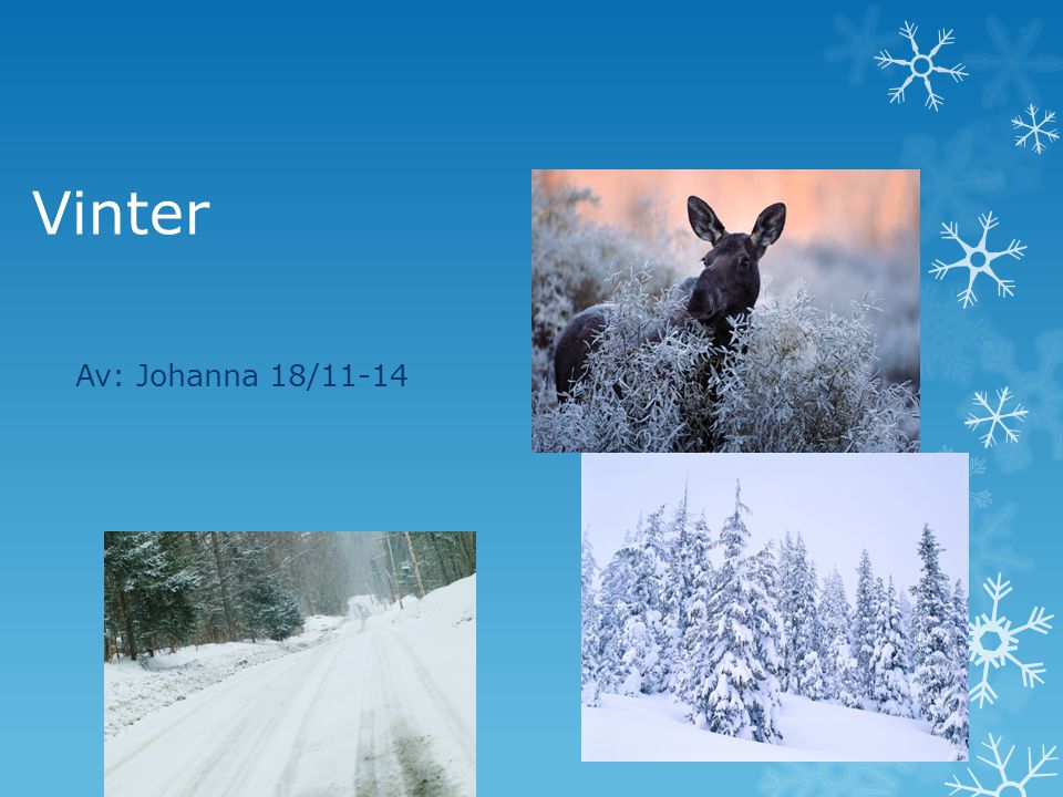 Vinter Av: Johanna 18/11-14